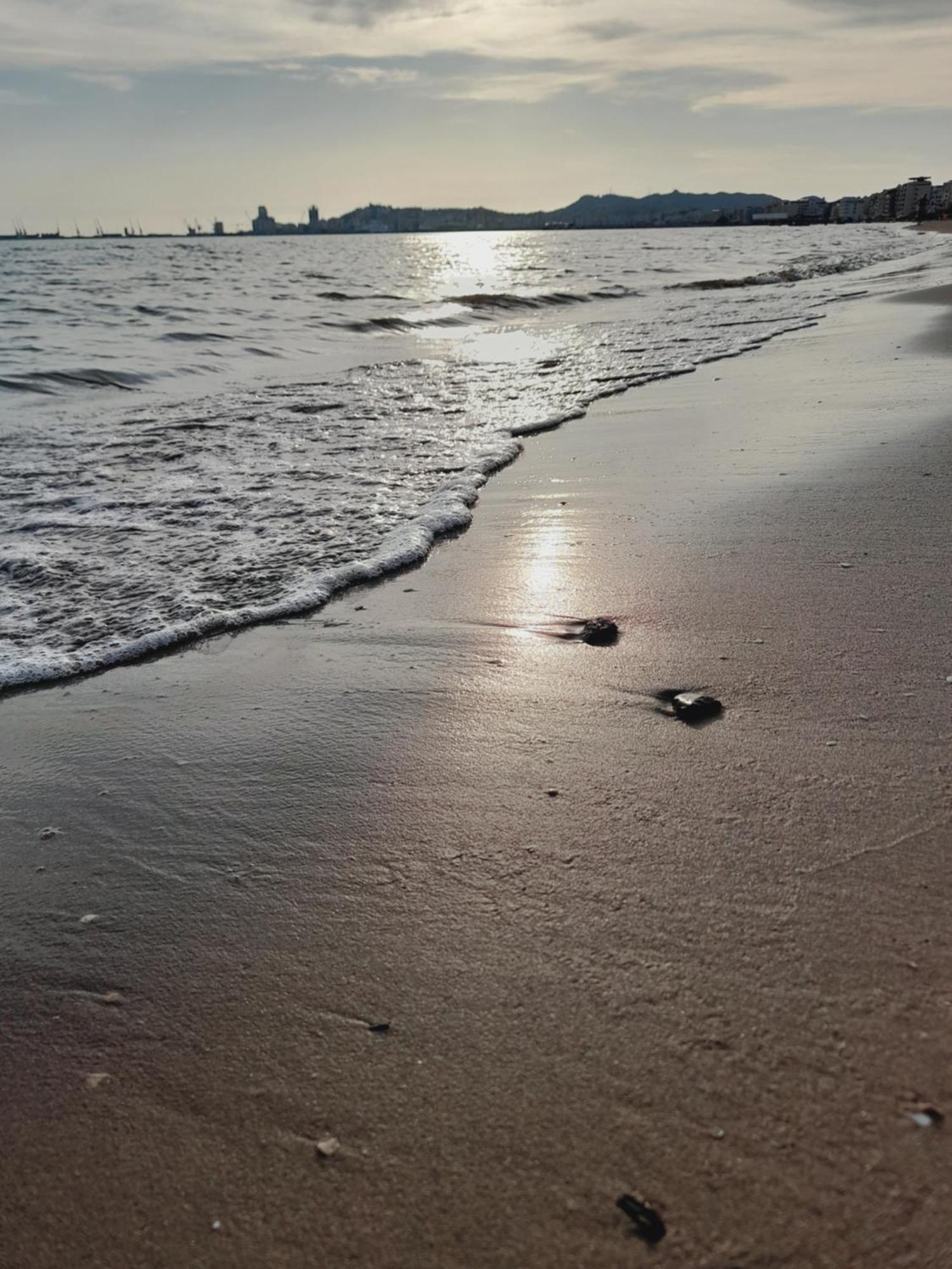 Seaside Deluxe